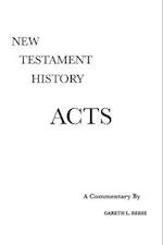 Acts: A Critical and Exegetical Commentary 