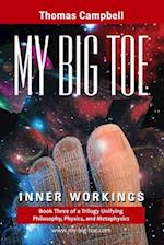 My Big Toe: Book 3 of a Trilogy Unifying Philosophy, Physics, and Metaphysics: Inner Workings 