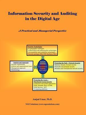 Information Security and Auditing in the Digital Age