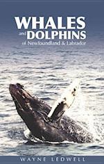 Whales & Dolphins of Newfoundland & Labrador