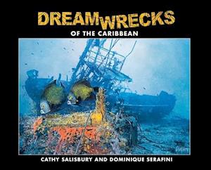 DreamWrecks of the Caribbean: Diving the best shipwrecks of the region