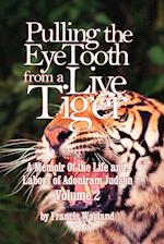 Pulling the Eyetooth from a Live Tiger