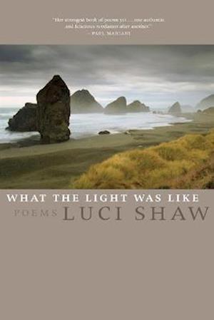 What the Light Was Like: Poems