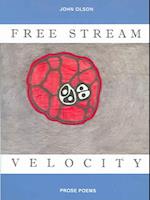 Free Stream Velocity