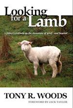 Looking for a Lamb