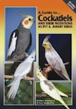 A Guide to Cockatiels and Their Mutations as Pet & Aviary Birds