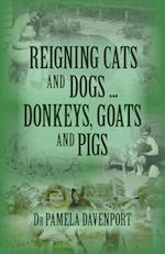 Reigning Cats and Dogs ... Donkeys, Goats and Pigs 