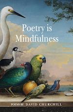 Poetry is Mindfulness