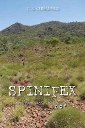 Spinifex