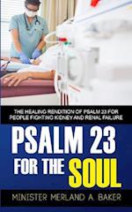 Psalm 23 For The Soul