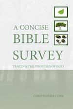 A Concise Bible Survey