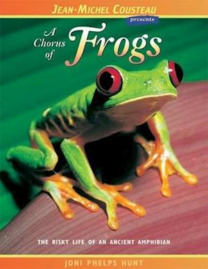 A Chorus of Frogs