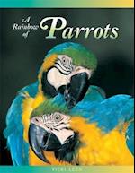 A Rainbow of Parrots