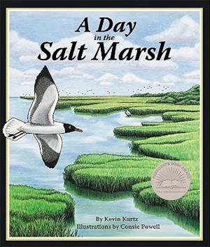 A Day in the Salt Marsh