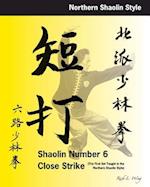 Shaolin #6 Close Strike