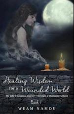 Healing Wisdom for a Wounded World: My Life-Changing Journey Through a Shamanic School (Book 1)