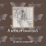 A Book of Drawings 