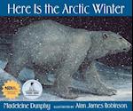 Here Is the Arctic Winter