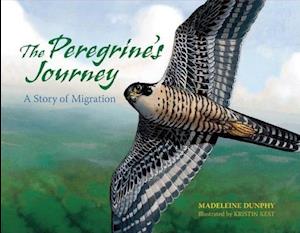 The Peregrine's Journey
