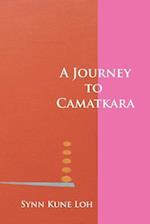 A Journey to Camatkara