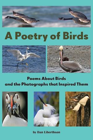 A Poetry of Birds