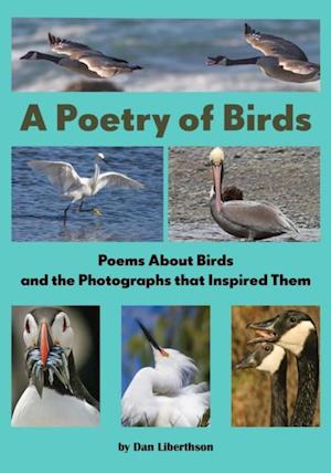 Poetry of Birds