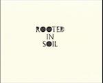 Rooted in Soil