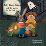 Sally Book Bunny and the Search for the Lost Key: second edition 