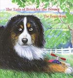 The Tails of Brinkley the Berner