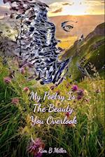 My Poetry Is The Beauty You Overlook 