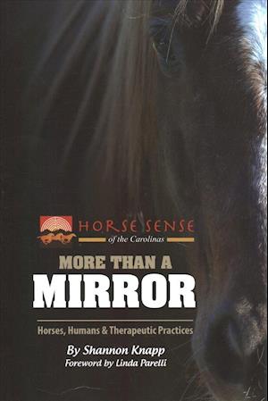 More Than a Mirror