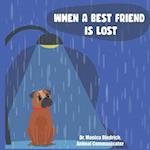 When A Best Friend Is Lost