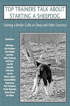 Top Trainers Talk about Starting a Sheepdog: Training a Border Collie on Sheep and Other Livestock