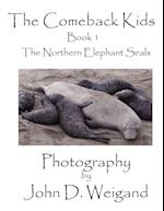 "The Comeback Kids"  Book 1, The Northern Elephant Seals