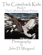 The Comeback Kids, Book 3, the California Brown Pelican
