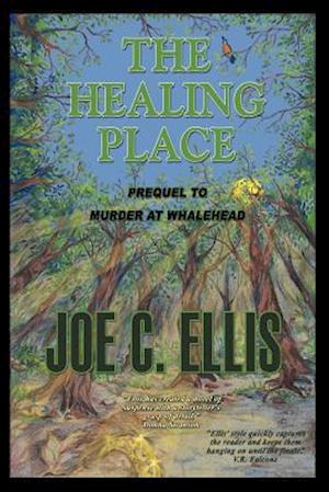 The Healing Place--Prequel to Murder at Whalehead