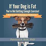 If Your Dog Is Fat You're Not Getting Enough Exercise!