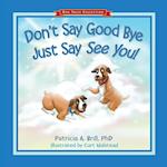 Don't Say Good Bye Just Say See You!