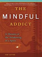 The Mindful Addict