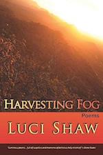 Harvesting Fog