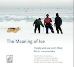 The Meaning of Ice