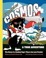 My Name Is Cosmos I Live in Alaska