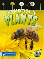 Reproduction in Plants