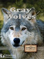 Gray Wolves