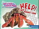 Help! I Have A Hermit Crab