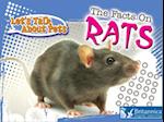 Facts on Rats