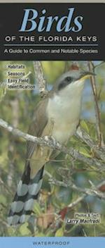 Birds of the Florida Keys