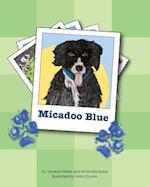 Micadoo Blue