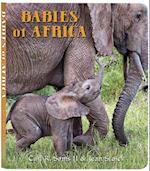 Babies of Africa