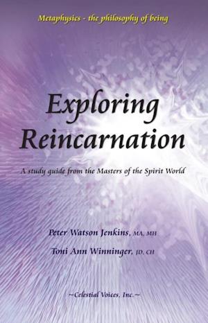 Exploring Reincarnation